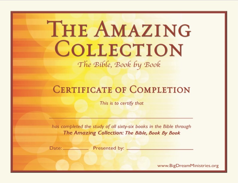 The Amazing Collection Resources Big Dream Ministries